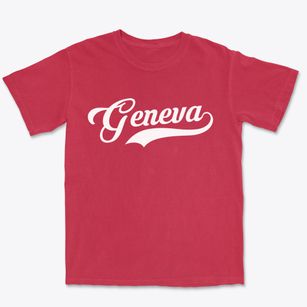 Geneva Pennsylvania Vintage Team Premium Heavyweight T-shirt