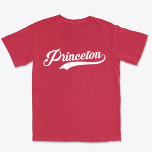 Princeton Indiana Vintage Team Premium Heavyweight T-shirt