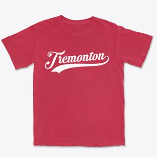 Tremonton Utah Vintage Team Premium Heavyweight T-shirt