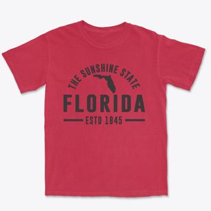  Florida Motto Premium Heavyweight T-shirt