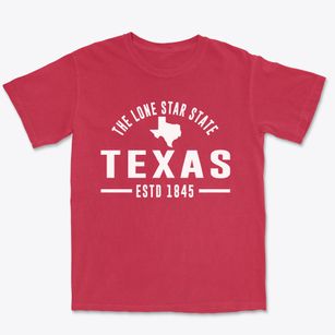  Texas Motto Premium Heavyweight T-shirt
