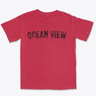 Ocean View Delaware Timeless Retro Premium Heavyweight T-shirt