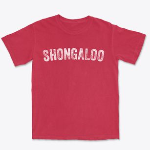 Shongaloo Louisiana Timeless Retro Premium Heavyweight T-shirt