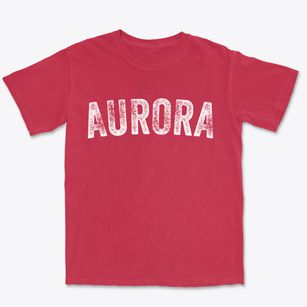 Aurora New York Timeless Retro Premium Heavyweight T-shirt
