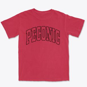 Peconic New York Trendy Block Premium Heavyweight T-shirt
