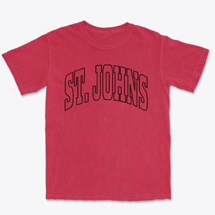 St. Johns Michigan Trendy Block Premium Heavyweight T-shirt