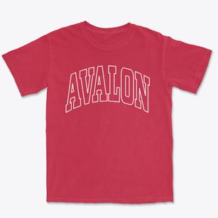 Avalon New Jersey Trendy Block Premium Heavyweight T-shirt
