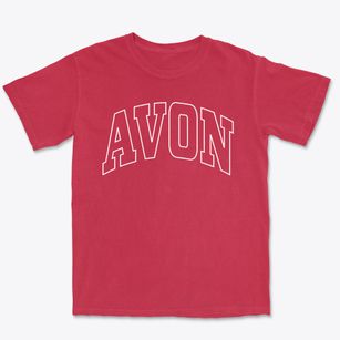 Avon North Carolina Trendy Block Premium Heavyweight T-shirt