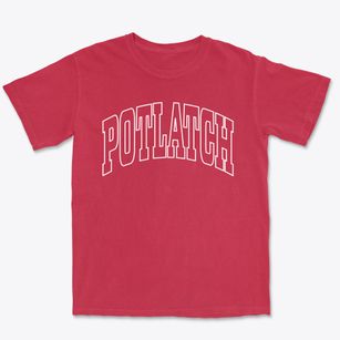 Potlatch Idaho Trendy Block Premium Heavyweight T-shirt