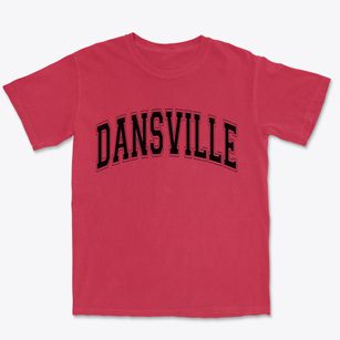 Dansville New York Varsity Premium Heavyweight T-shirt