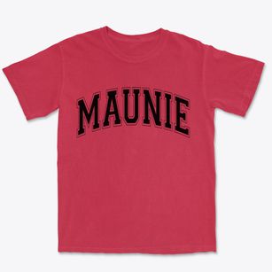 Maunie Illinois Varsity Premium Heavyweight T-shirt