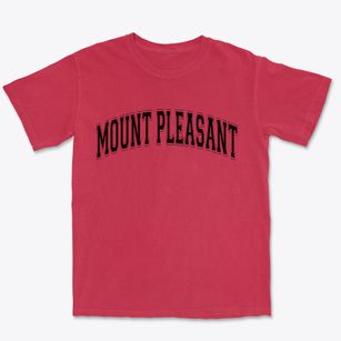 Mount Pleasant South Carolina Varsity Premium Heavyweight T-shirt