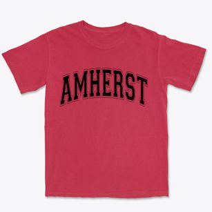Amherst New Hampshire Varsity Premium Heavyweight T-shirt