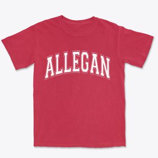 Allegan Michigan Varsity Premium Heavyweight T-shirt