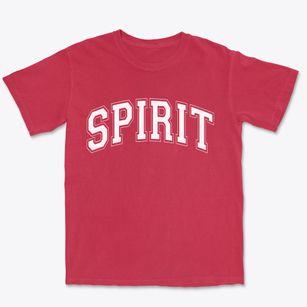 Spirit Wisconsin Varsity Premium Heavyweight T-shirt