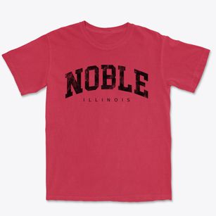 Noble Illinois Urban Vibe Premium Heavyweight T-shirt