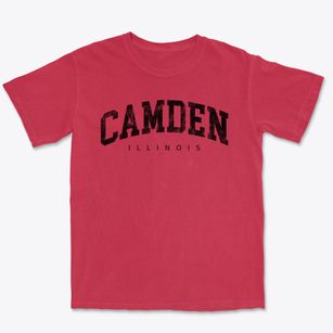 Camden Illinois Urban Vibe Premium Heavyweight T-shirt