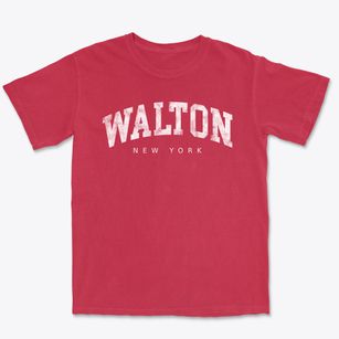 Walton New York Urban Vibe Premium Heavyweight T-shirt
