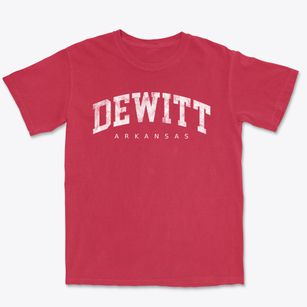 Dewitt Arkansas Urban Vibe Premium Heavyweight T-shirt