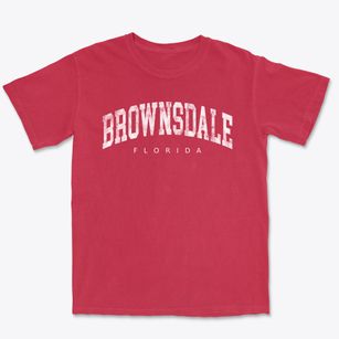Brownsdale Florida Urban Vibe Premium Heavyweight T-shirt