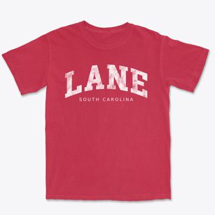 Lane South Carolina Urban Vibe Premium Heavyweight T-shirt