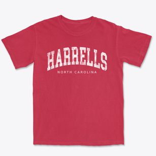 Harrells North Carolina Urban Vibe Premium Heavyweight T-shirt