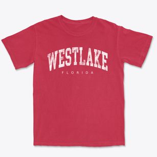 Westlake Florida Urban Vibe Premium Heavyweight T-shirt