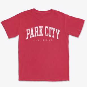 Park City Illinois Urban Vibe Premium Heavyweight T-shirt