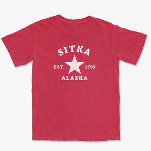 Sitka Alaska Star Premium Heavyweight T-shirt