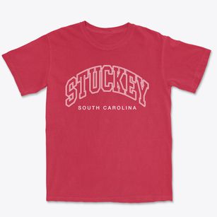 Stuckey South Carolina Inline Premium Heavyweight T-shirt