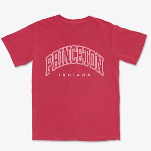 Princeton Indiana Inline Premium Heavyweight T-shirt