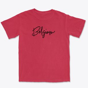 Belgium New York Freestyle Premium Heavyweight T-shirt