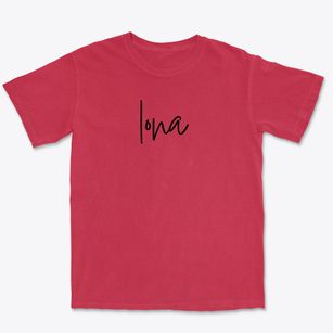 Iona Minnesota Freestyle Premium Heavyweight T-shirt