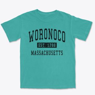 Woronoco Massachusetts Classic Established Premium Heavyweight T-shirt