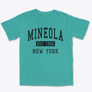 Mineola New York Classic Established Premium Heavyweight T-shirt