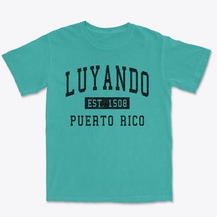 Luyando Puerto Rico Classic Established Premium Heavyweight T-shirt