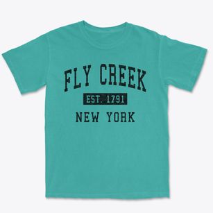 Fly Creek New York Classic Established Premium Heavyweight T-shirt