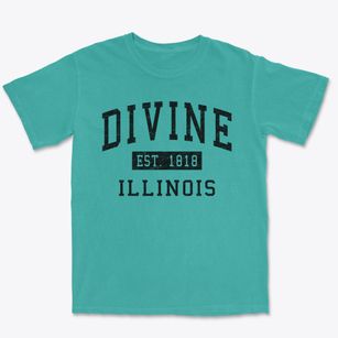 Divine Illinois Classic Established Premium Heavyweight T-shirt