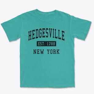Hedgesville New York Classic Established Premium Heavyweight T-shirt