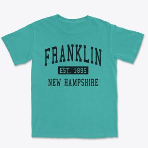 Franklin New Hampshire Classic Established Premium Heavyweight T-shirt