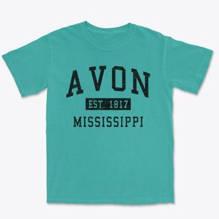 Avon Mississippi Classic Established Premium Heavyweight T-shirt