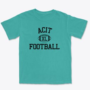Atlantic County Institute Of Technology Classic Football Premium Heavyweight T-shirt