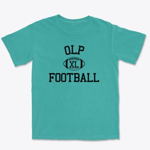 Our Lady Of Pompeii School Classic Football Premium Heavyweight T-shirt