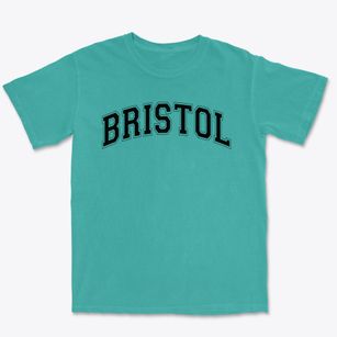 Bristol Elementary School Varsity Arch Premium Heavyweight T-shirt