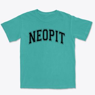 Neopit Intermediate School Varsity Arch Premium Heavyweight T-shirt