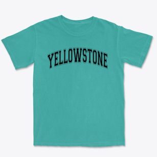 Yellowstone Elementary School Varsity Arch Premium Heavyweight T-shirt
