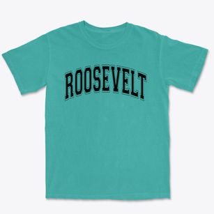 Roosevelt Primary School Varsity Arch Premium Heavyweight T-shirt