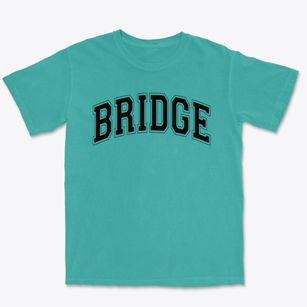 Bridge Academy Varsity Arch Premium Heavyweight T-shirt