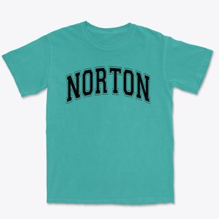 Norton Elementary School Varsity Arch Premium Heavyweight T-shirt