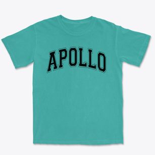 Apollo High School Varsity Arch Premium Heavyweight T-shirt